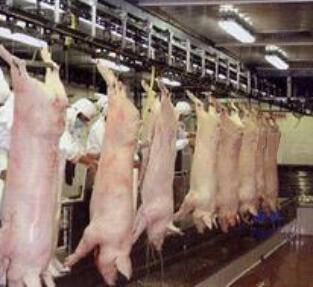 �i�������a��